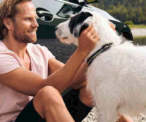 BMW Pet Pack Offer