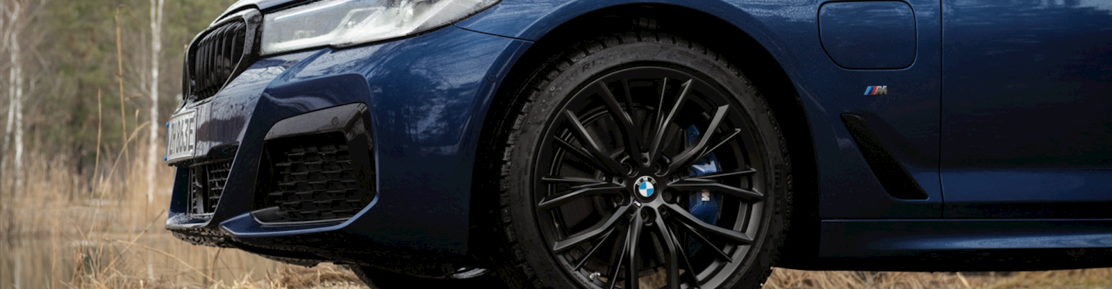 BMW Cold Weather Wheels
