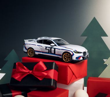 Lloyd BMW Accessory of the Month