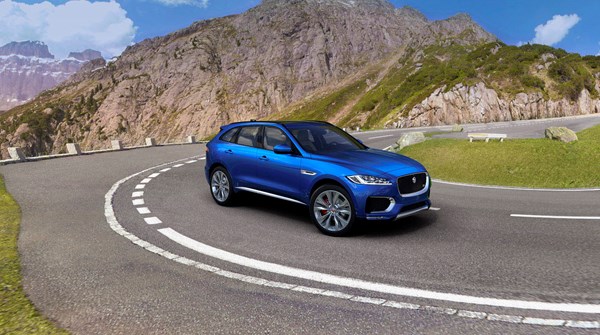 Jaguar Seasonal Advice