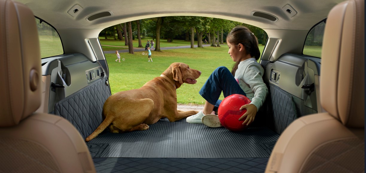 Jaguar Pet Accessories