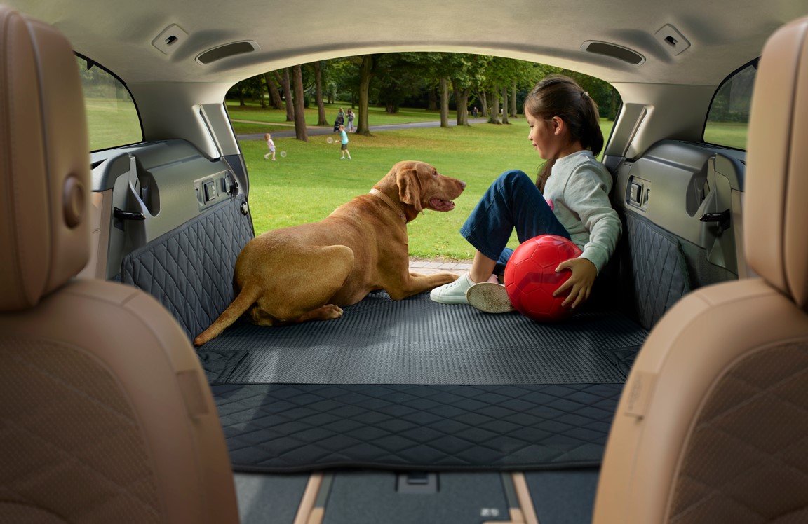 Dog Travel Accessories