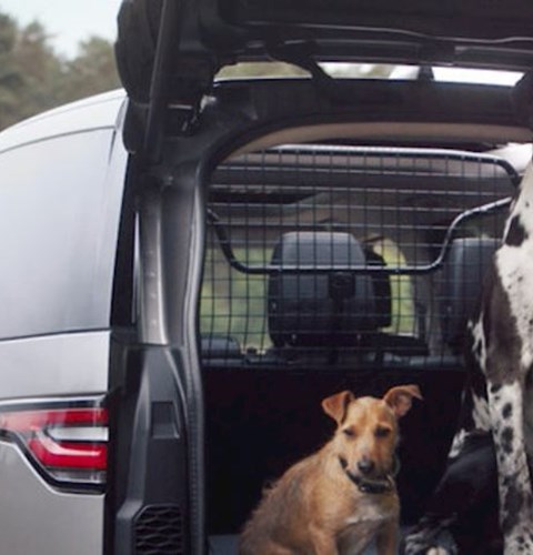 Land Rover Pet Accessories