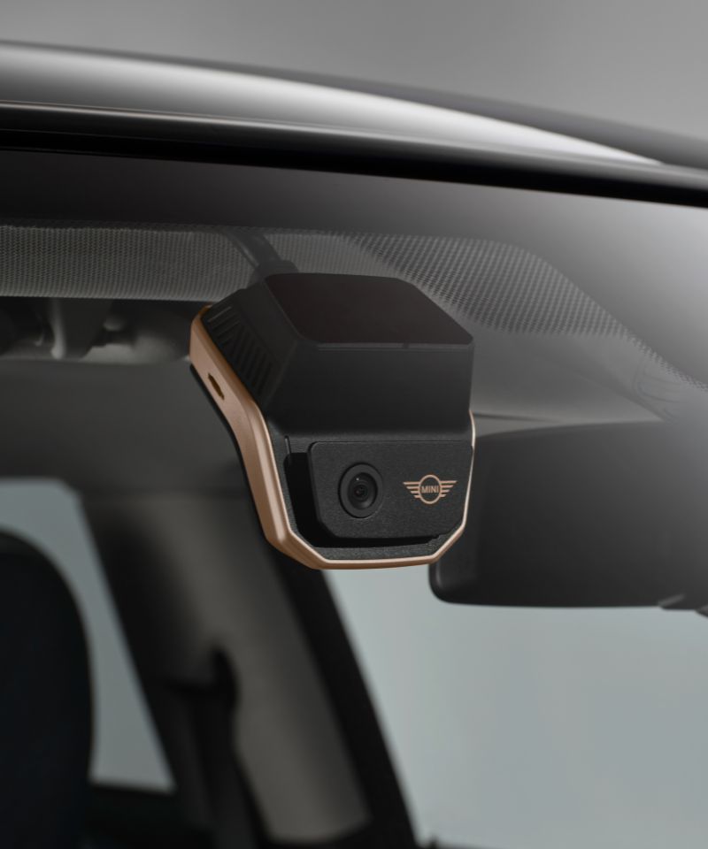 Lloyd MINI Accessory of the Month