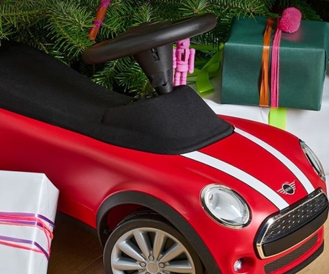 Lloyd MINI Accessory of the Month