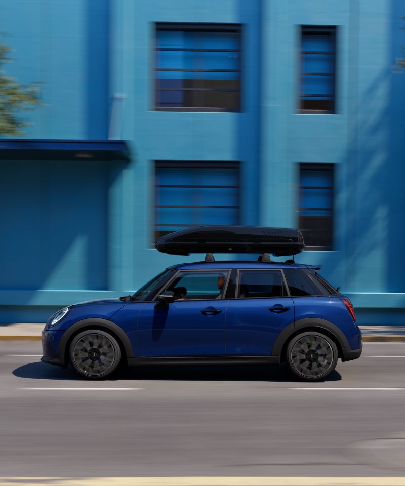 Lloyd MINI Accessory of the Month