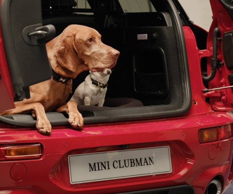 MINI Mat Protection Pack Offer