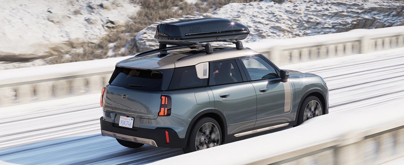 MINI Winter Health Check