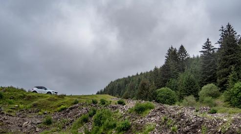 Jaguar Seasonal Advice 