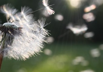 Air-Conditioning Service