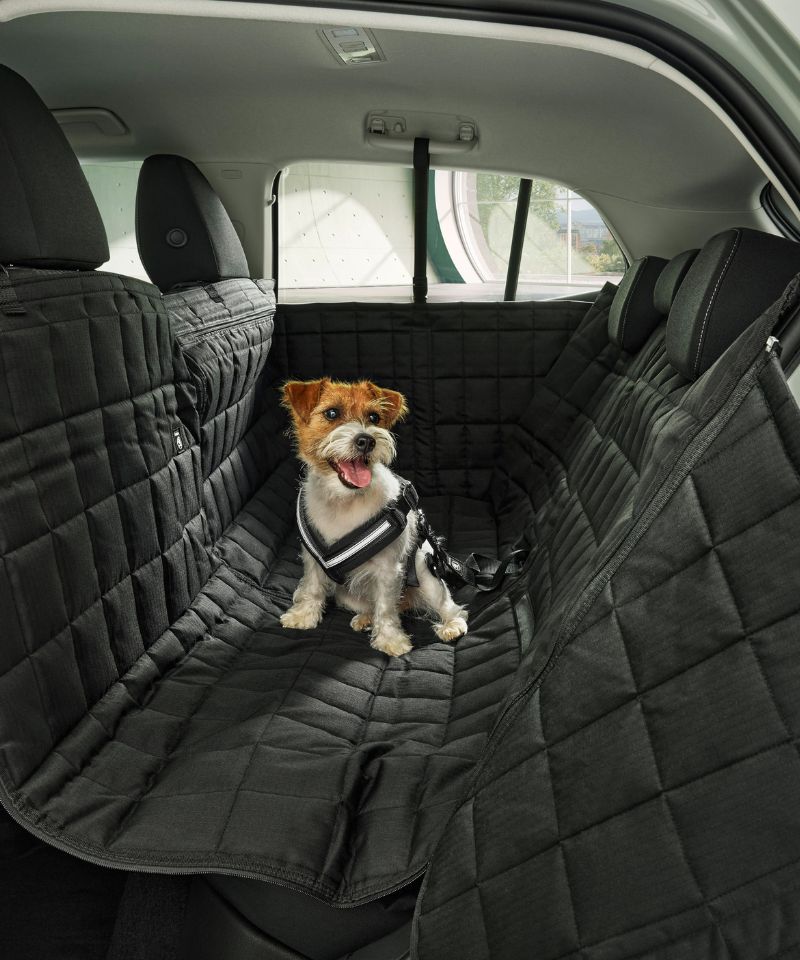 Lloyd- Škoda- pet-packs