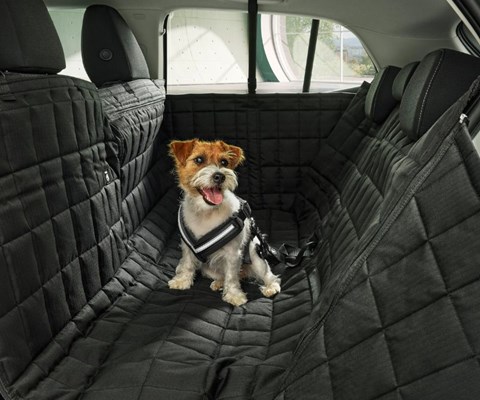 Lloyd- Škoda- pet-packs