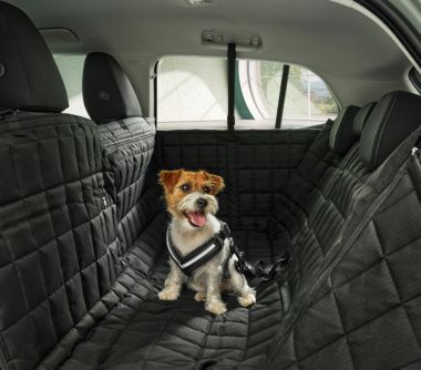 Lloyd- Škoda-pet-packs