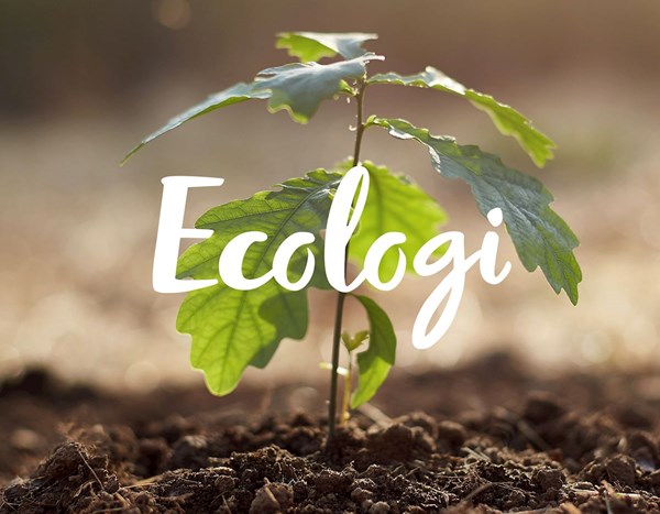 Lloyd West Cumbria announce their support for Ecologi