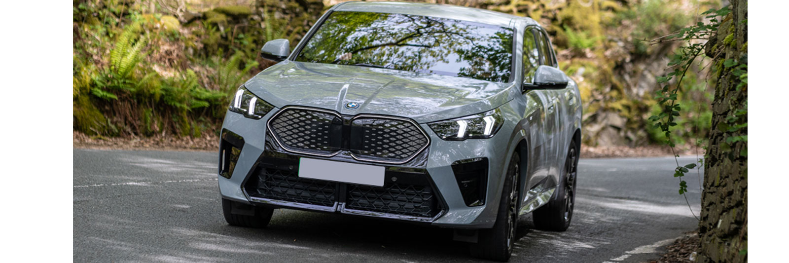 Explore the BMW iX2.