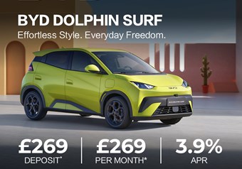 DOLPHIN SURF
