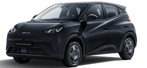 BYD DOLPHIN SURF Comfort