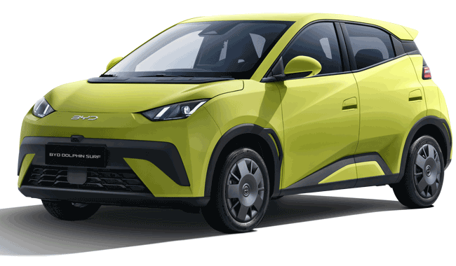 DOLPHIN SURF in Exterior Green