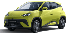 BYD DOLPHIN SURF Active