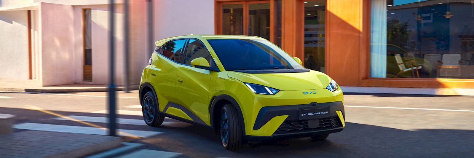 DOLPHIN SURF in Exterior Green