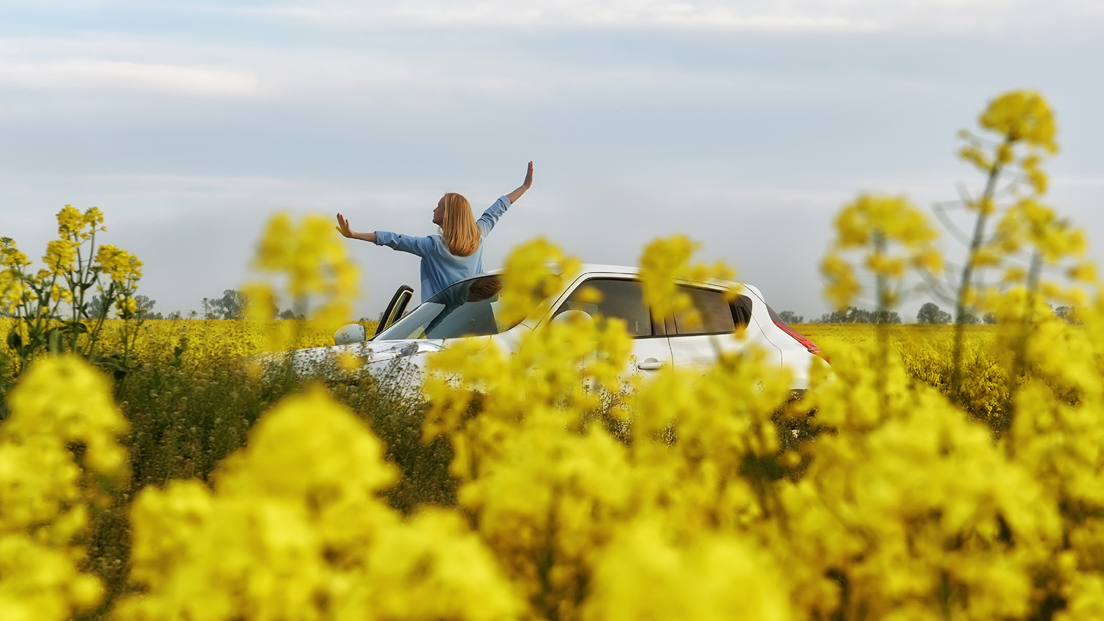 The Lloyd Used Car Event