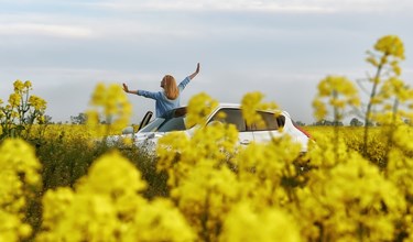 The Lloyd Used Car Event