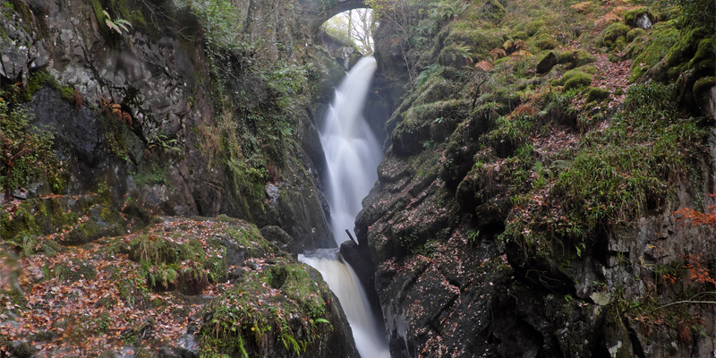 Aira Force Dog Walk - Ullswater - Lake District
