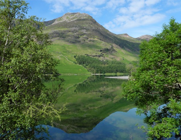 Buttermere Dog Walk