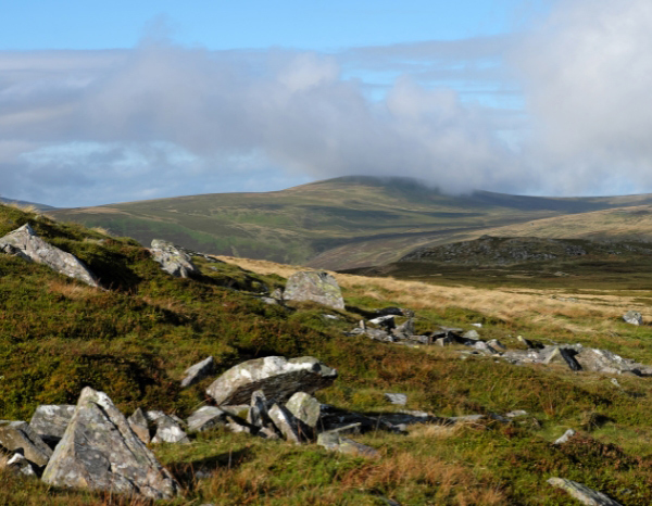 Carrock Fell and High Pike Dog Walk – Lake District 