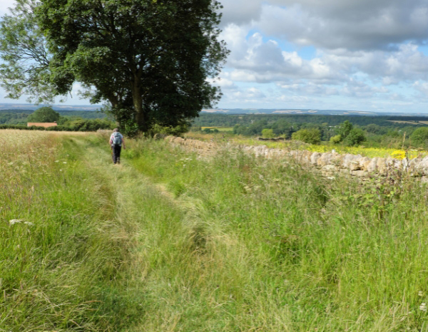 Hutton-le-Hole – North York Moors Dog Walk