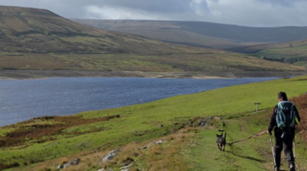 Scar House Reservoir Dog Walk