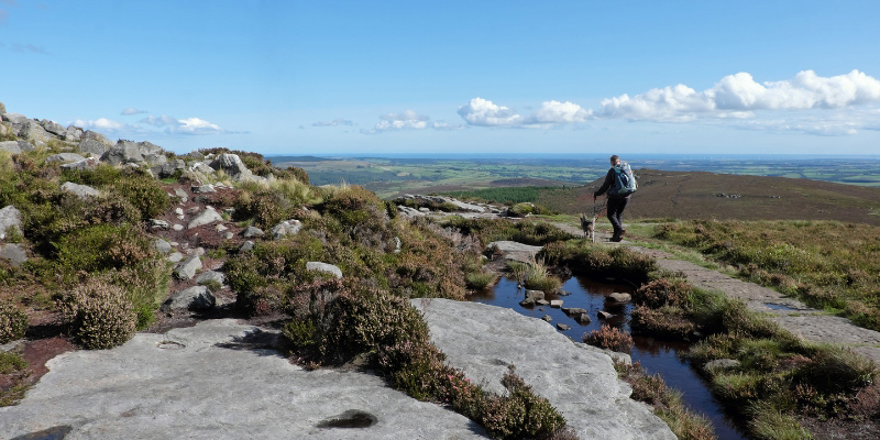Simonside Hills Walk