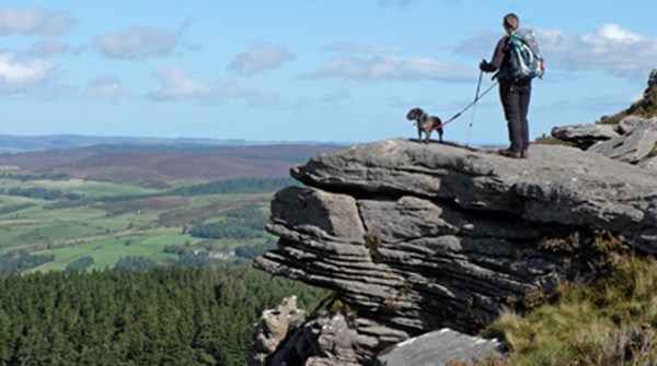 Simonside Hills Northumberland Dog Walk
