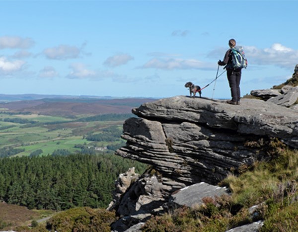 Simonside Hills Walk