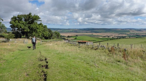 Wooler Common