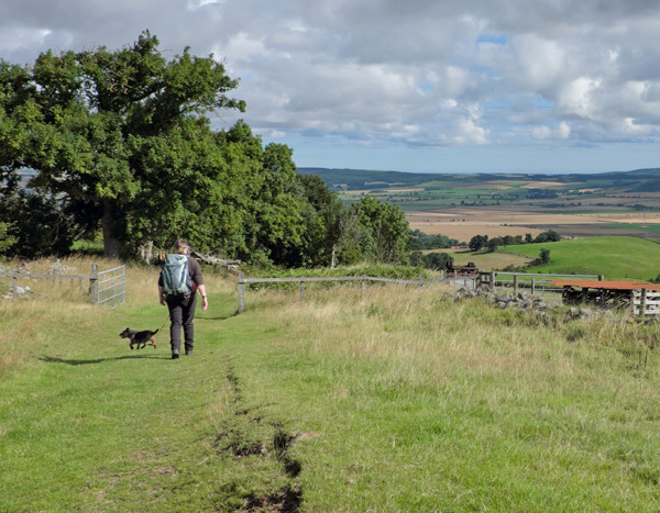 Wooler Common Dog Walk - Northumberland 