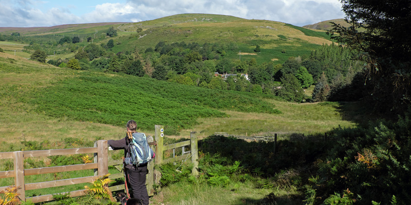 Wooler Common Dog Walk