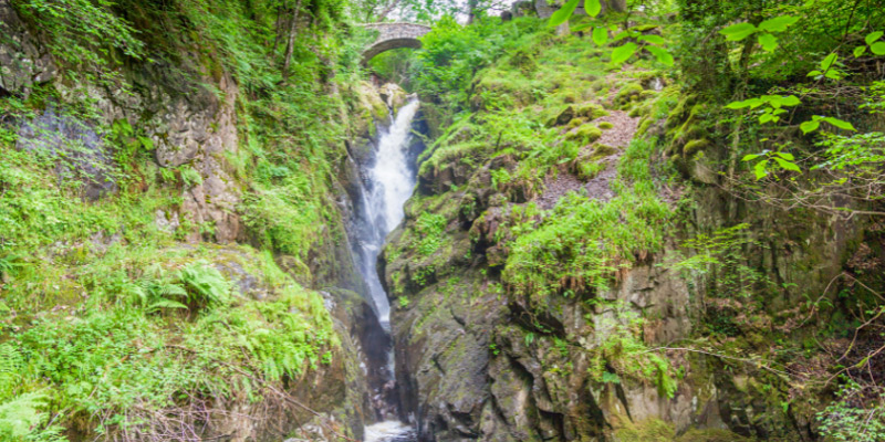 Aira Force Waterfall