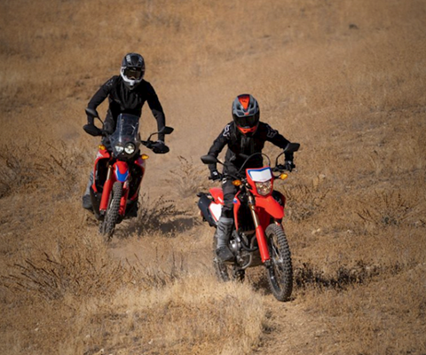 Lloyd Honda CRF300 Rally Offer