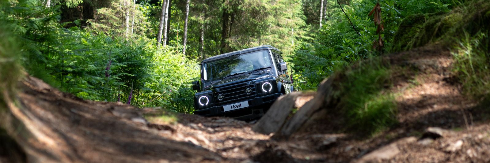 Lloyd AllRoad Exclusive Event