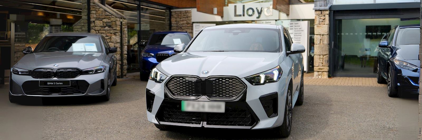 BROWSE ELECTRIC CARS