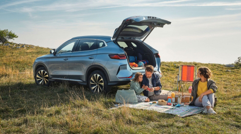 Family Electric Cars