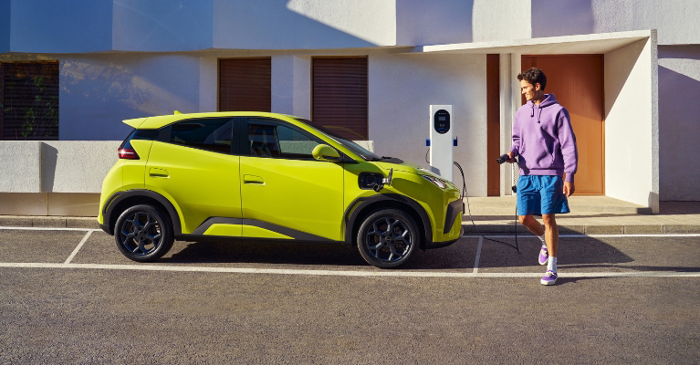 Budget Electric Cars