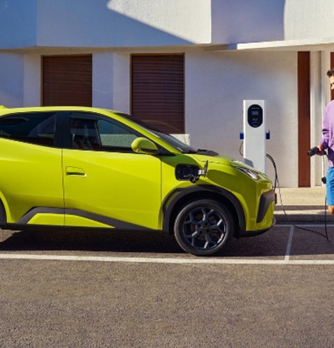 Budget Electric Cars