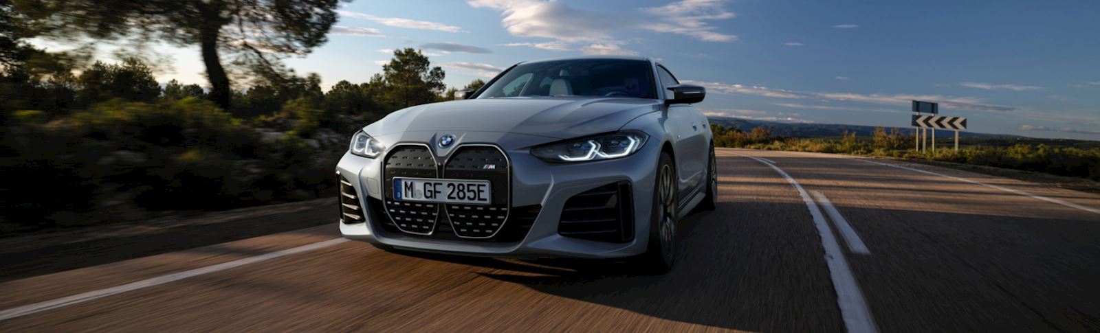 Performance Electric Cars