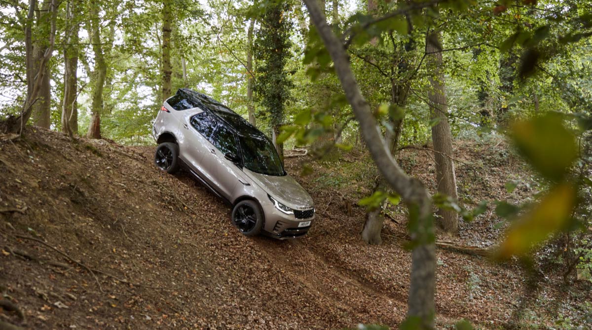 New Discovery Commercial Stock