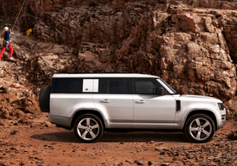 Land Rover Defenders for Sale