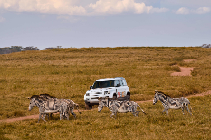 Defenders of the Wild