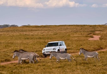 Defenders of the Wild