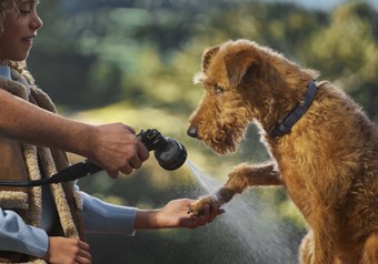 Curated accessory packs